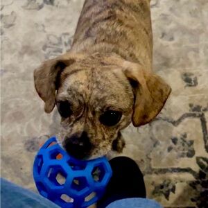 Meet your Posher, Crystal